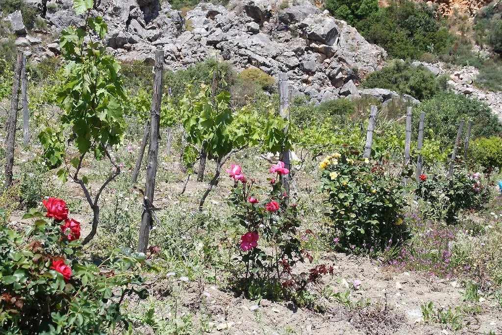 Casale Corcella Bed and Breakfast Scopello  Scopello (Sicily)